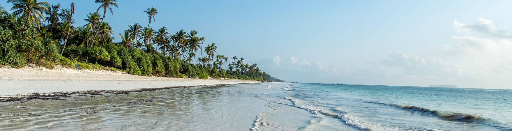 Zanzibar I Jednodnevni Safari Tanzanija 2025 Putovanja Sa Obro Nim   Zanzibar Shutterstock 325806599 